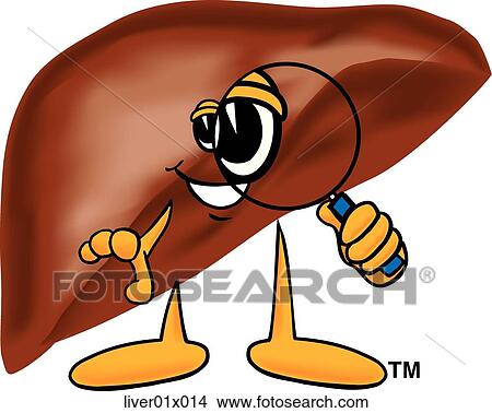 Liver With Magnifying Glass View Large Illustration Stock Illustration - Liver With Magnifying Glass. Fotosearch
