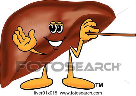 Stock Illustration - Liver With Pointer. Fotosearch