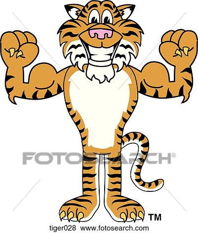 Tiger Flexing Muscles View Large Illustration Stock Illustration - Tiger Flexing Muscles. Fotosearch