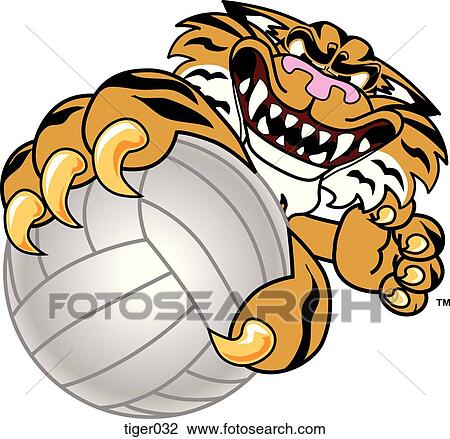 Tiger holding Volleyball with angry face View Large Illustration Drawing - Tiger holding Volleyball with angry face. Fotosearch