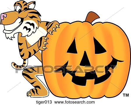 Tiger with Halloween Pumpkin View Large Illustration Drawing - Tiger with Halloween Pumpkin. Fotosearch