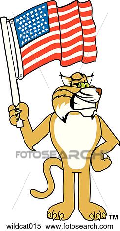 Wildcat With American Flag View Large Illustration Stock Illustration - Wildcat With American Flag. Fotosearch