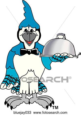 Blue Jay Serving View Large Illustration Drawing - Blue Jay Serving. Fotosearch