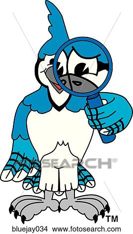 Blue Jay with Magnifying Glass View Large Illustration Stock Illustration - Blue Jay with Magnifying Glass. Fotosearch