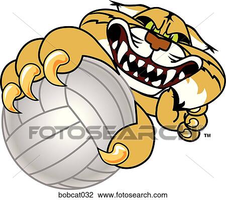Bobcat holding Volleyball with angry face View Large Illustration Drawing - Bobcat holding Volleyball with angry face. Fotosearch