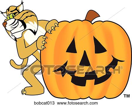 Drawing - Bobcat with Halloween Pumpkin. Fotosearch