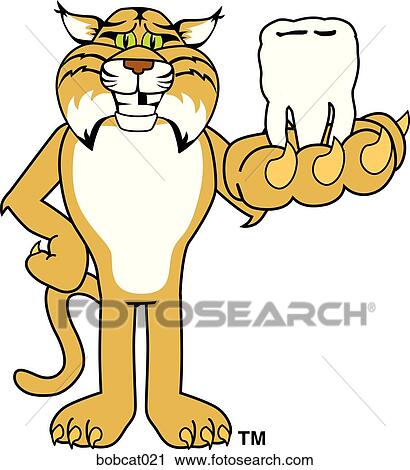 Bobcat With Lost Tooth View Large Illustration Clip Art - Bobcat With Lost Tooth. Fotosearch