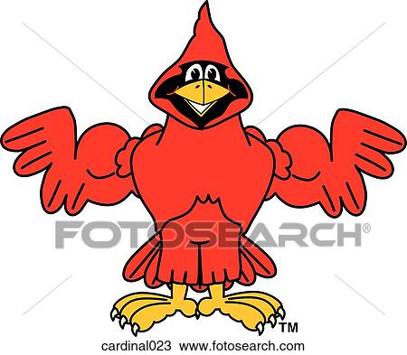 Drawing - Cardinal Flexing Muscles. Fotosearch