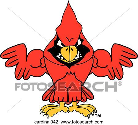 Cardinal Flexing Muscles with angry face View Large Illustration Drawing - Cardinal Flexing Muscles with angry face. Fotosearch