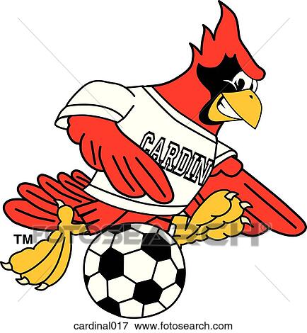 Stock Illustration - Cardinal playing Soccer. Fotosearch