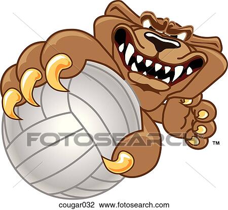 Cougar holding Volleyball with angry face View Large Illustration Drawing - Cougar holding Volleyball with angry face. Fotosearch