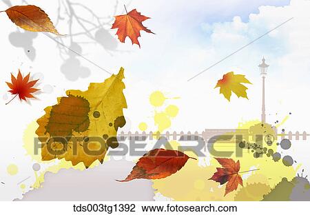 Drawing - autumn leaves in illustration. Fotosearch