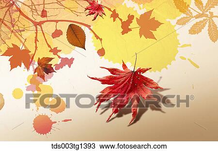 Drawing - autumn leaves in illustration. Fotosearch