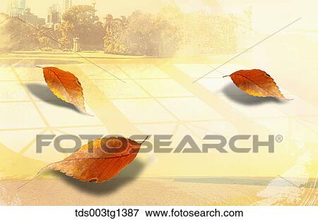 Stock Illustration - autumn leaves in illustration. Fotosearch