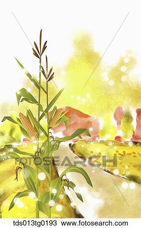 autumn scenics in illustration View Large Illustration Drawing - autumn scenics in illustration. Fotosearch