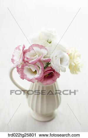 Clip Art - blooming roses. Fotosearch