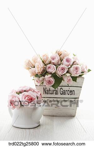 blooming roses View Large Illustration Clipart - blooming roses. Fotosearch