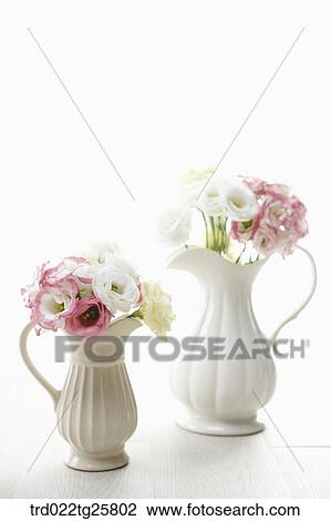 blooming roses View Large Illustration Drawing - blooming roses. Fotosearch