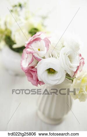Stock Illustration - blooming roses. Fotosearch