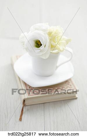 Stock Illustration - book and roses. Fotosearch