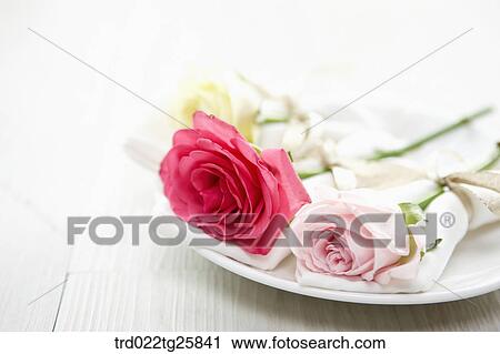 decorated plate with roses View Large Illustration Clip Art - decorated plate with roses. Fotosearch