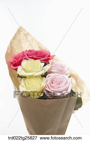 decorated roses View Large Illustration Stock Illustration - decorated roses. Fotosearch