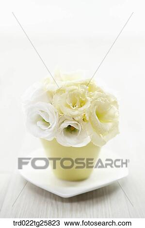 decorated white roses View Large Illustration Drawing - decorated white roses. Fotosearch