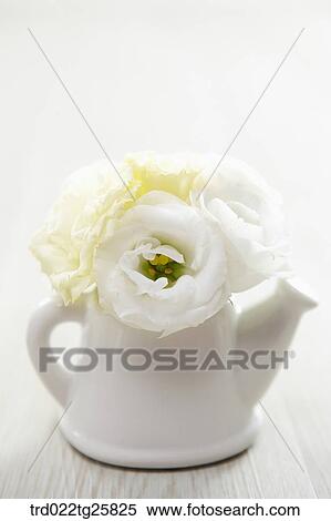 decorated white roses View Large Illustration Stock Illustration - decorated white roses. Fotosearch