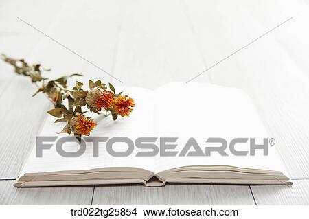 Stock Illustration - dried flowers and book. Fotosearch