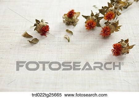 dried flowers View Large Illustration Stock Illustration - dried flowers. Fotosearch