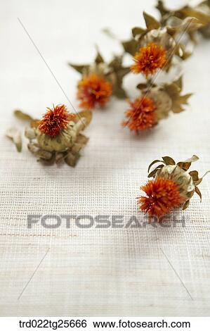 dried flowers View Large Illustration Stock Illustration - dried flowers. Fotosearch