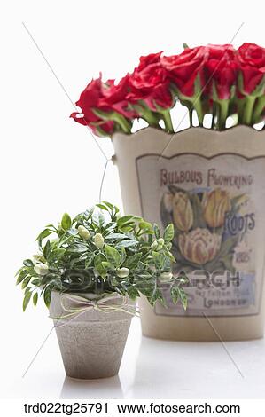 flowers in the bucket View Large Illustration Clip Art - flowers in the bucket. Fotosearch