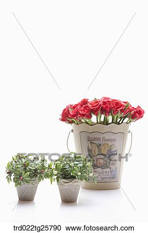 flowers in the bucket View Large Illustration Clipart - flowers in the bucket. Fotosearch