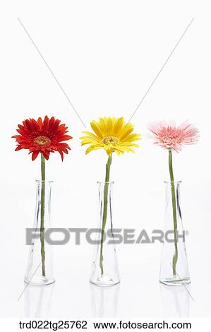 Drawing - flowers in vase. Fotosearch