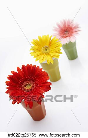 Stock Illustration - flowers in vase. Fotosearch