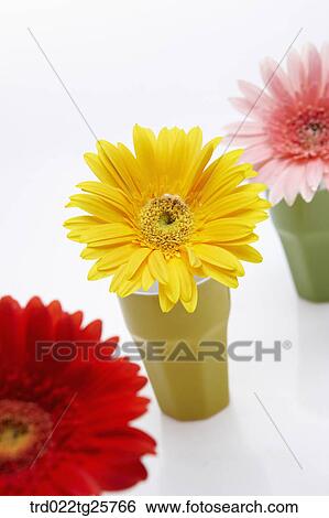 flowers in vase View Large Illustration Stock Illustration - flowers in vase. Fotosearch