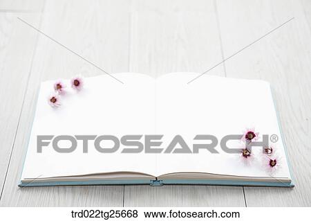 Stock Illustration - flowers on the note pad. Fotosearch