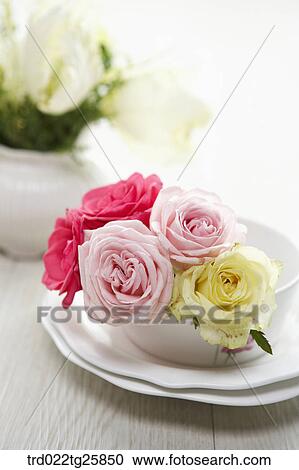 fresh blooms of roses View Large Illustration Clipart - fresh blooms of roses. Fotosearch