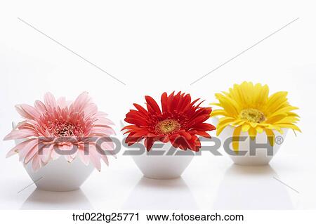 Clip Art - fresh flowers. Fotosearch
