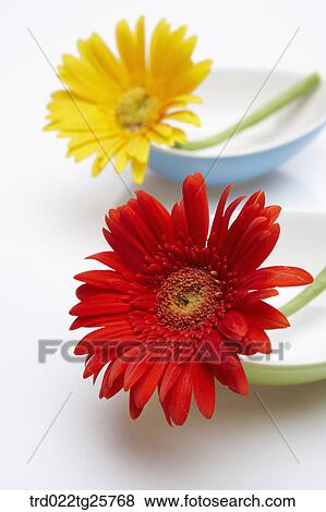 Stock Illustration - fresh flowers. Fotosearch