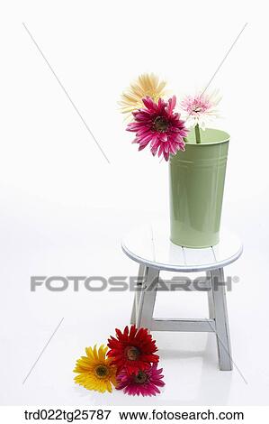 Stock Illustration - fresh gerberas. Fotosearch