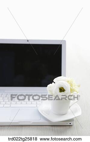 laptop and roses View Large Illustration Stock Illustration - laptop and roses. Fotosearch