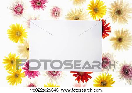 Multi colored flowers memo pad View Large Illustration Drawing - Multi colored flowers memo pad. Fotosearch