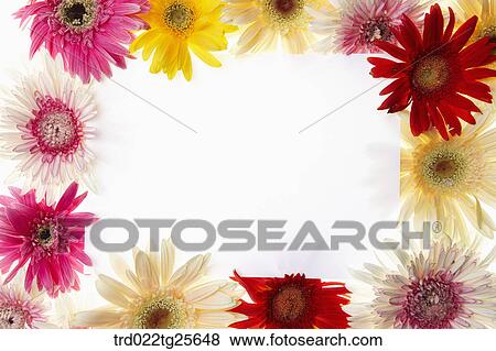 Multi colored flowers memo pad View Large Illustration Stock Illustration - Multi colored flowers memo pad. Fotosearch