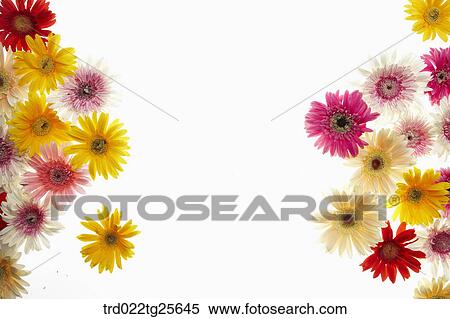 Multi colored flowers View Large Illustration Stock Illustration - Multi colored flowers. Fotosearch