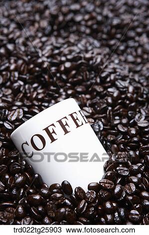 roasted coffee beans and mug View Large Illustration Drawing - roasted coffee beans and mug. Fotosearch