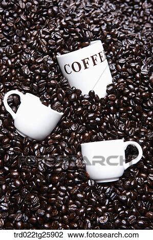 Drawing - roasted coffee beans ans cups. Fotosearch