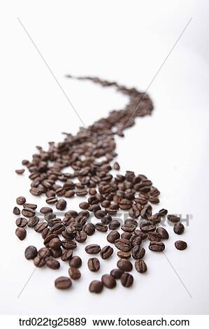 Stock Illustration - roasted coffee beans. Fotosearch