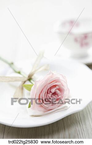 rose on the plate View Large Illustration Clipart - rose on the plate. Fotosearch