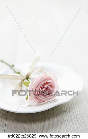 Stock Illustration - rose on the plate. Fotosearch